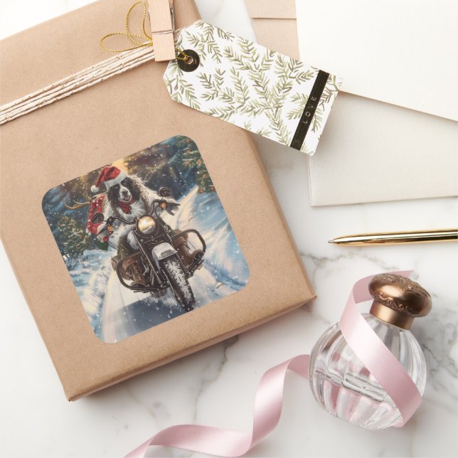 English Setter Dog Riding Motorrad Weihnachten Quadratischer Aufkleber (Schenken)