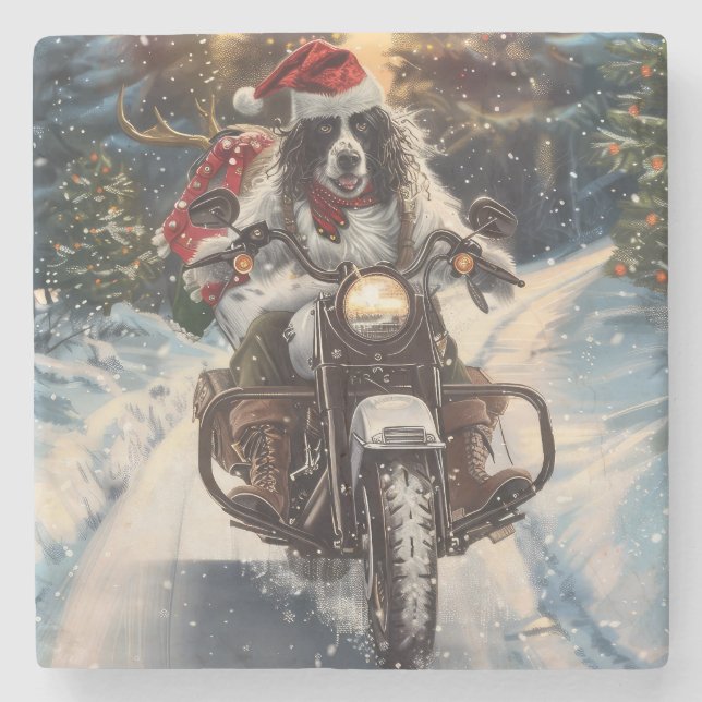 English Setter Dog Riding Motorrad Weihnachten Steinuntersetzer (Vorderseite)