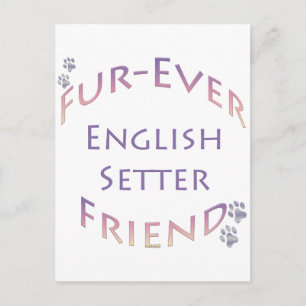English Setter Furever Postkarte