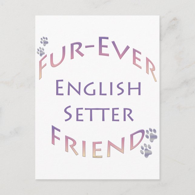 English Setter Furever Postkarte (Vorderseite)