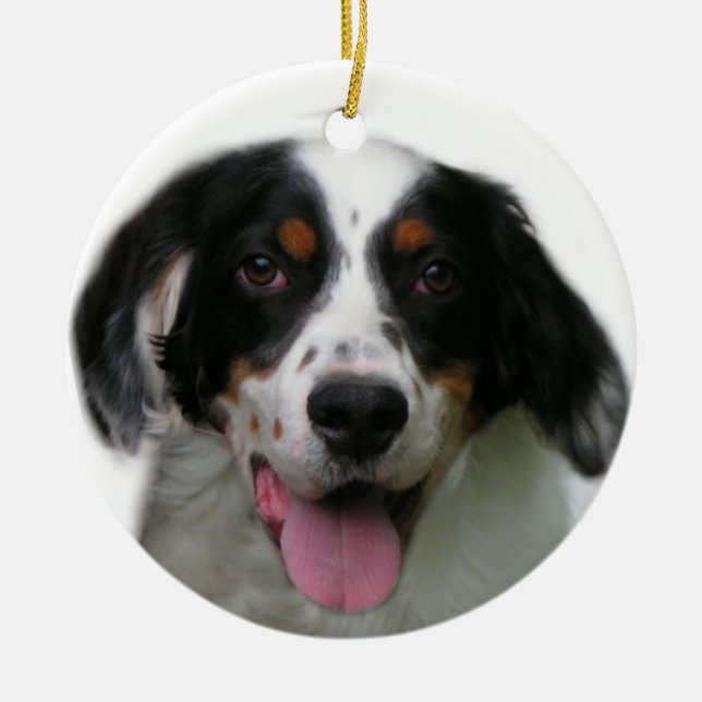 English Setter Ornament (Vorne)