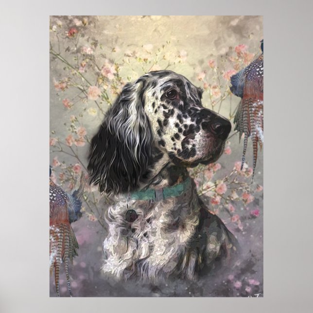 English Setter Poster (Vorne)
