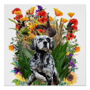 English Setter Poster
