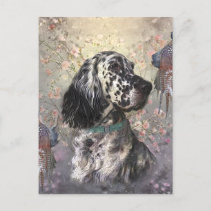 English Setter Postkarte