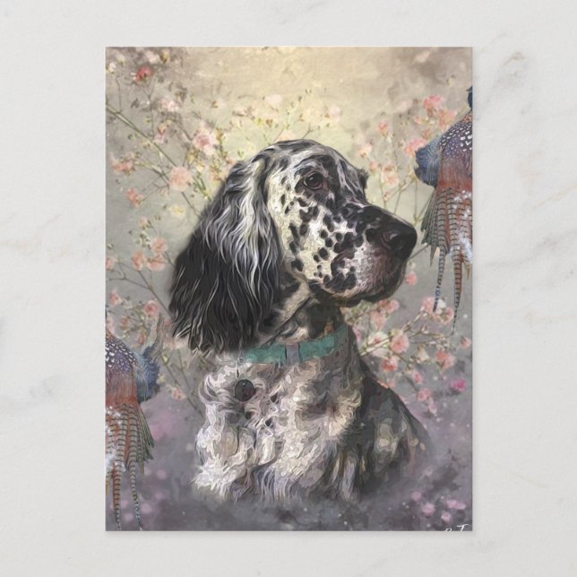 English Setter Postkarte (Vorderseite)