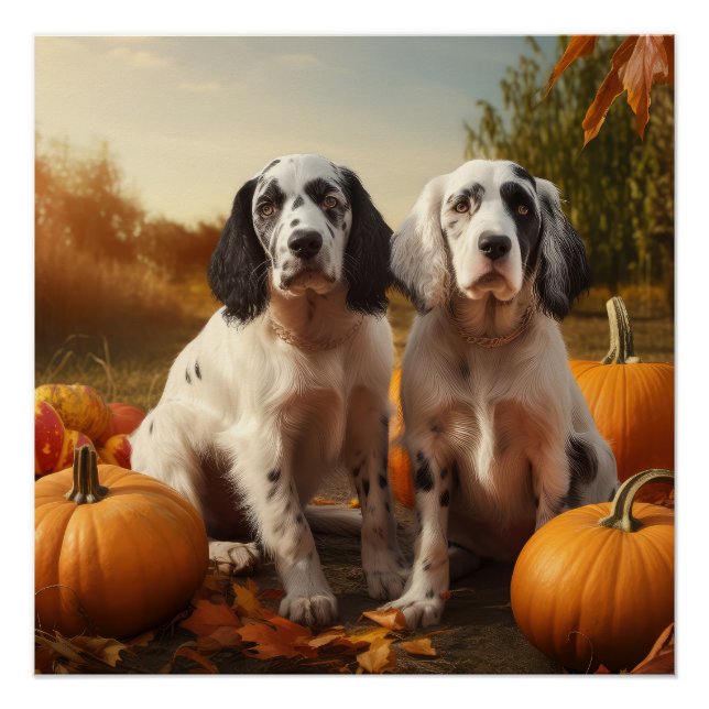 English Setter Puppy Autumn Delight Pumpkin Poster (Vorderseite)