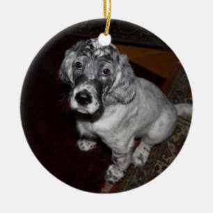 English Setter Puppy Keramik Ornament