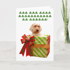English Setter Puppy Weihnachtskarte Feiertagskarte