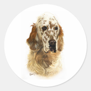 English Setter Runder Aufkleber