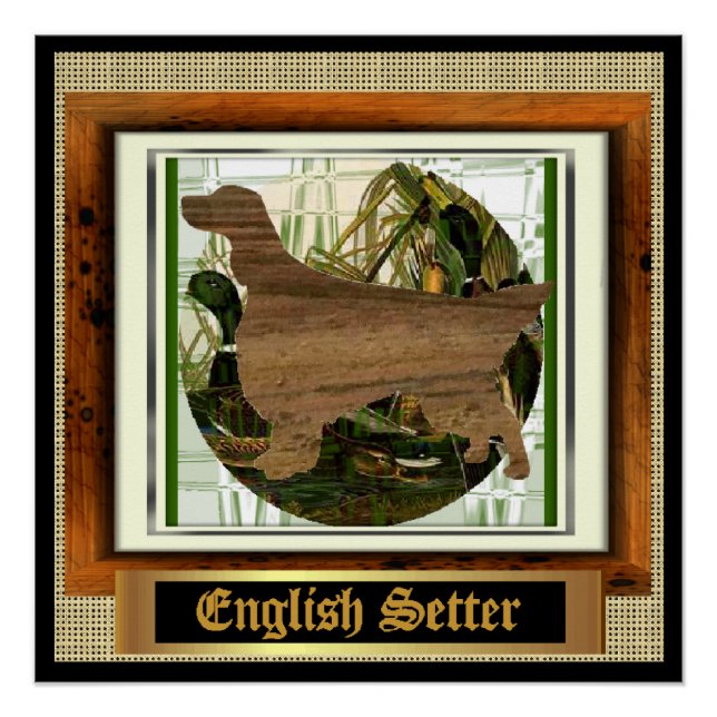 English Setter Sporting Poster (Vorderseite)
