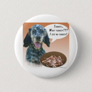 English Setter Türkei Button