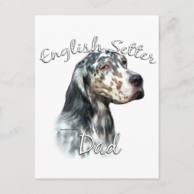 English Setter Vater 2 Postkarte (Vorderseite)