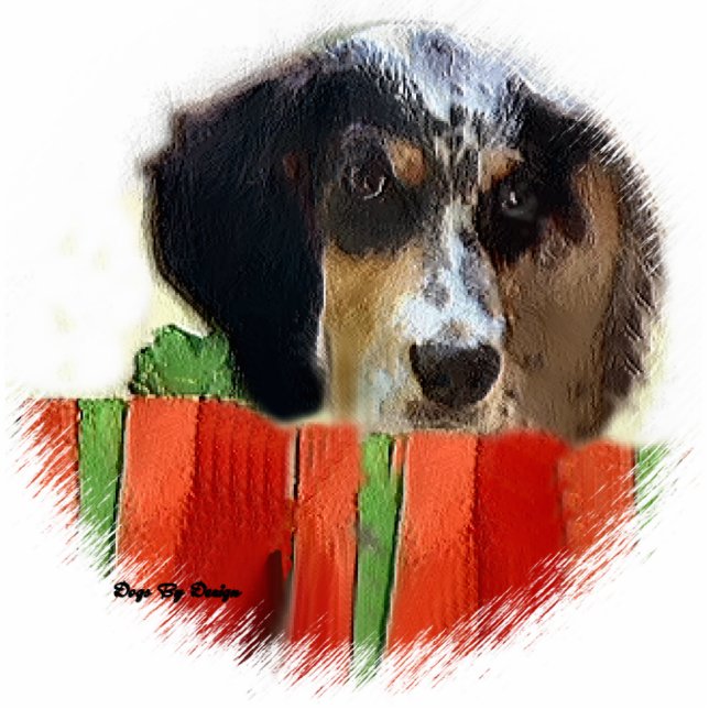English Setter Weihnachtsgeschenke Ornament Fotoskulptur Ornament (Vorne)