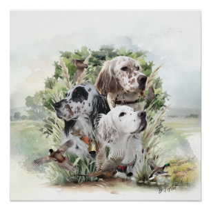English Setters Poster