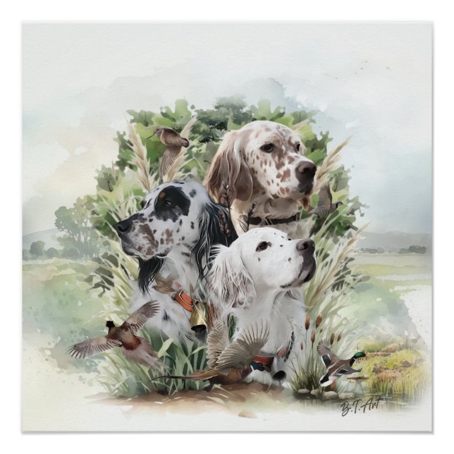 English Setters Poster (Vorderseite)