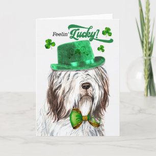 English Sheepdog Feelin' Lucky St Patrick's Day Feiertagskarte