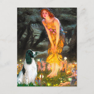 English Springer 7 - MidEve Postkarte