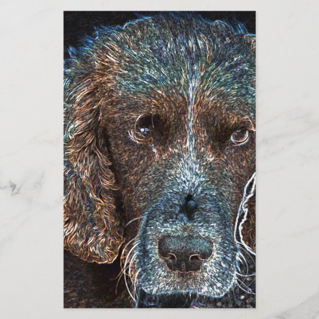 English Springer Briefpapier (Vorderseite)