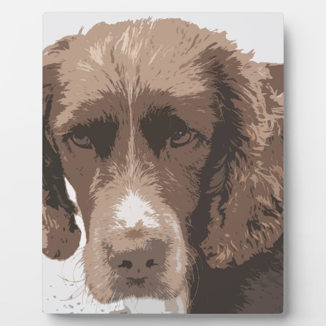 English Springer Fotoplatte (Vorderseite)