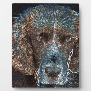 English Springer Fotoplatte