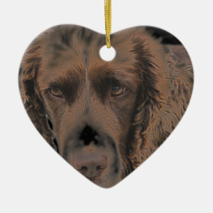English Springer Hunde Keramikornament