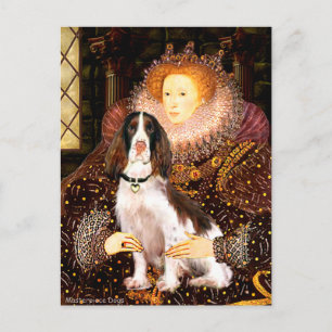English Springer (Liv) - Queen Postkarte