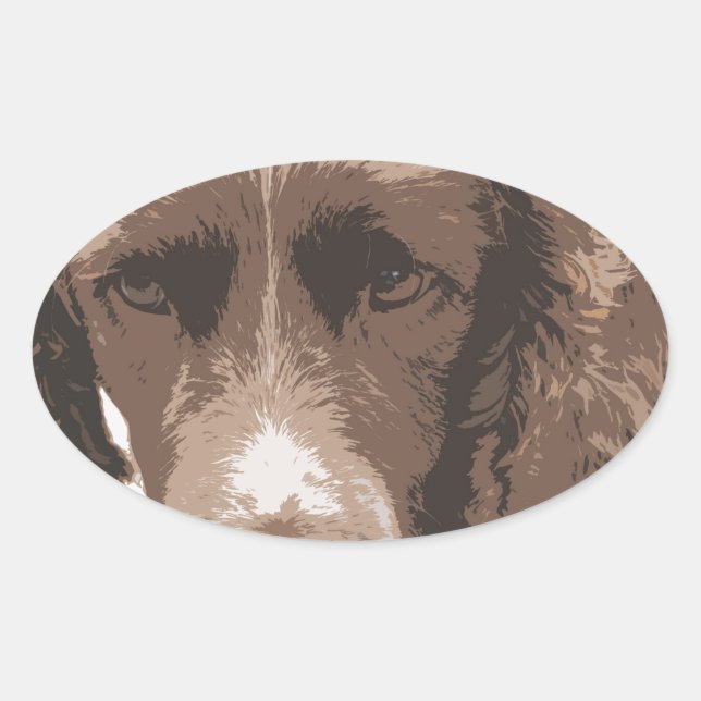 English Springer Ovaler Aufkleber (Vorderseite)