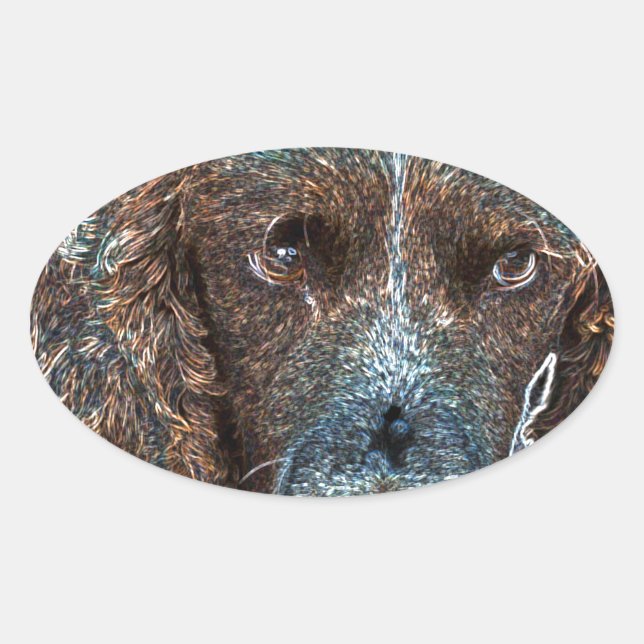 English Springer Ovaler Aufkleber (Vorderseite)