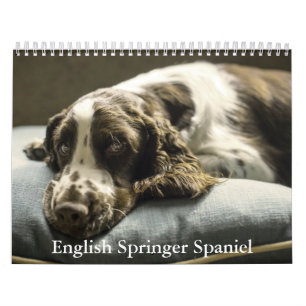 English Springer Spanel Calendar Kalender