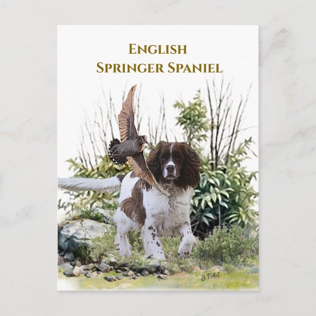 English Springer Spanel Einladungspostkarte (Vorderseite)