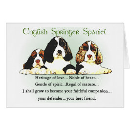 English Springer Spanel Geschenke