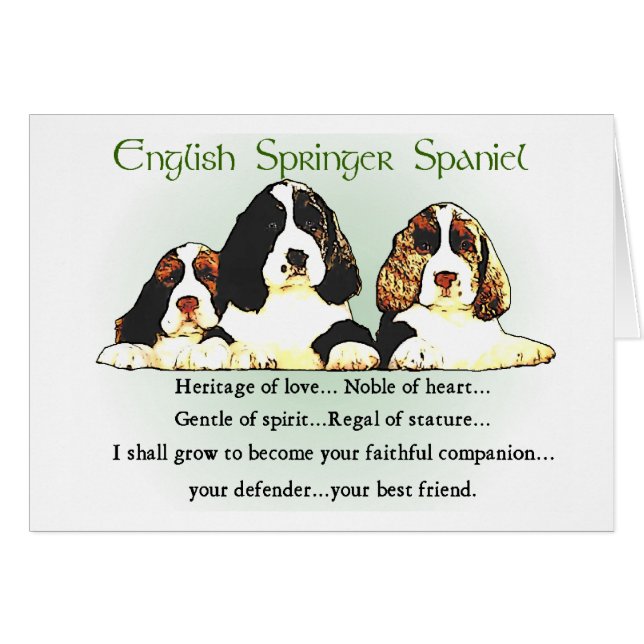 English Springer Spanel Geschenke (Vorderseite (Horizontal))