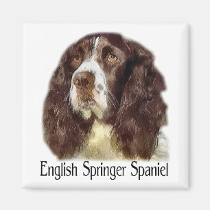 English Springer Spanel Geschenke Magnet