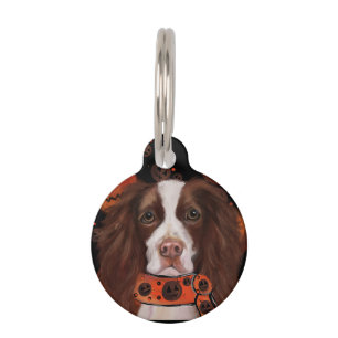 English Springer Spanel Haustiermarke