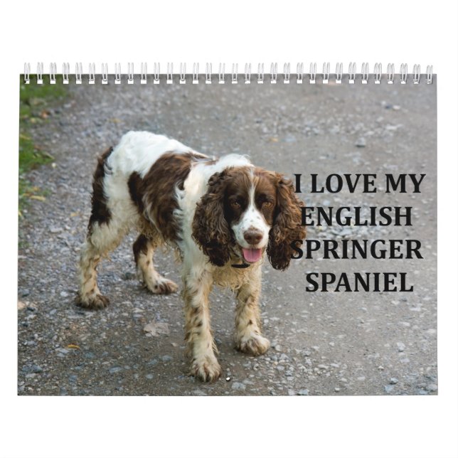 English Springer Spanel Kalender (Titelbild)