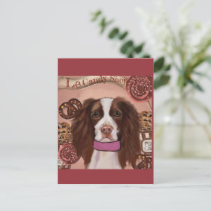 English Springer Spanel Postkarte