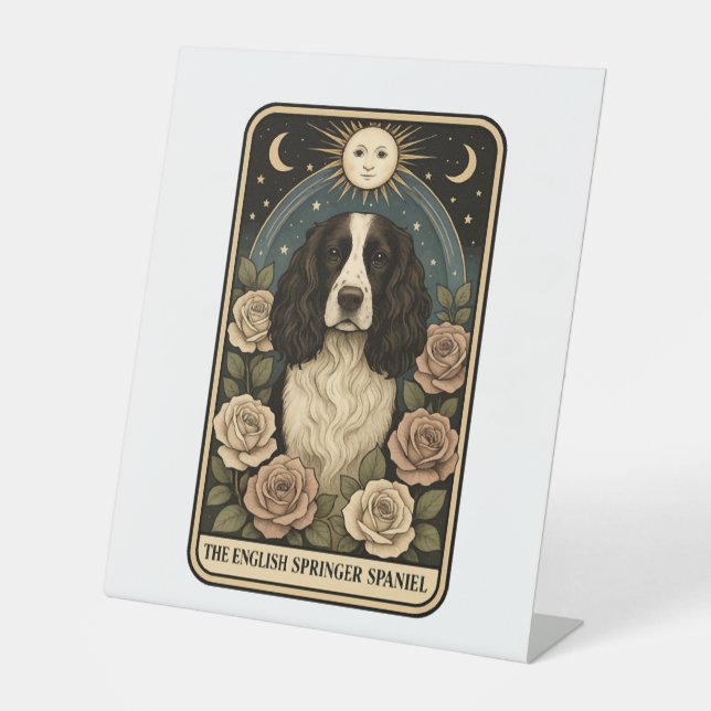 English Springer Spanel Sockelschild (Vorderseite)