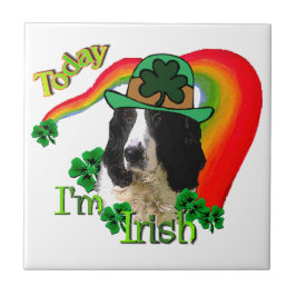 English Springer Spanel St Pattys Fliese