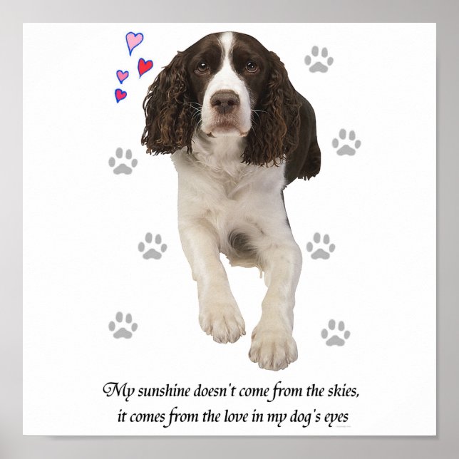 English Springer Spaniel Dog Poster (Vorne)