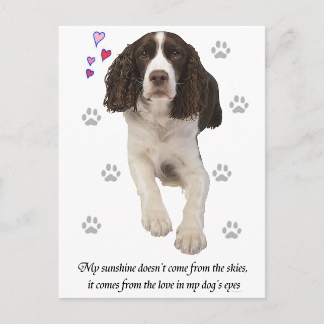 English Springer Spaniel Dog Postkarte (Vorderseite)