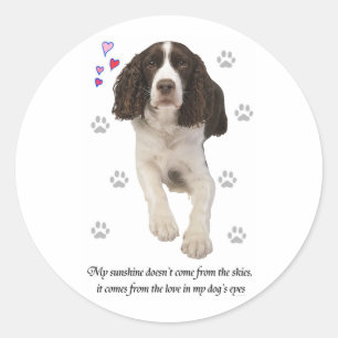 English Springer Spaniel Dog Runder Aufkleber