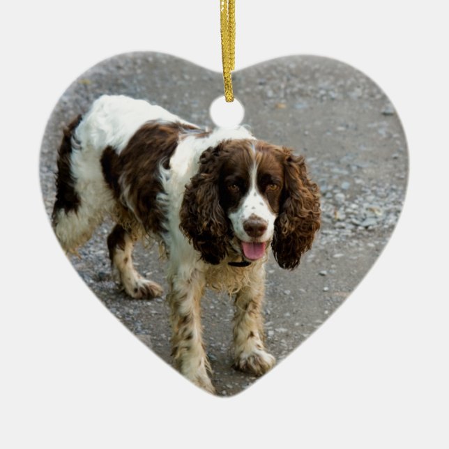 english springer spaniel full.png keramik ornament (Vorne)