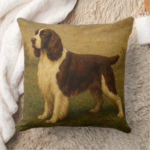 English Springer Spaniel