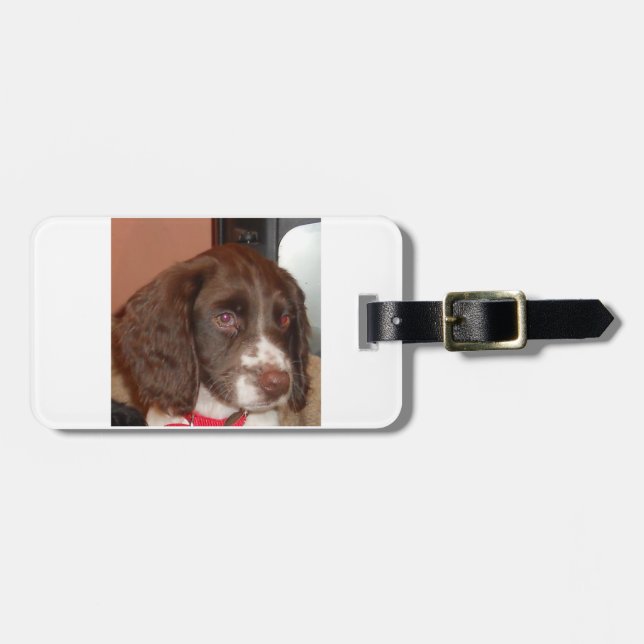 English_Springer_Spaniel lw Welpe Gepäckanhänger (Vorderseite horizontal)