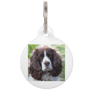 english springer spaniel.png tiermarke