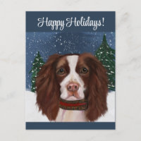 ENGLISH SPRINGER SPANIEL