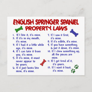ENGLISH SPRINGER SPANIEL Property Laws 2 Postkarte