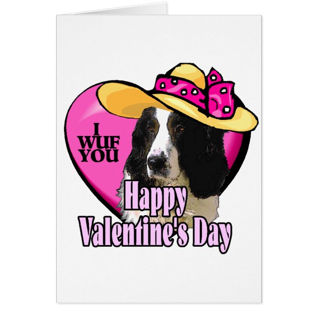 English Springer Spaniel Valentinstag (Vorne)