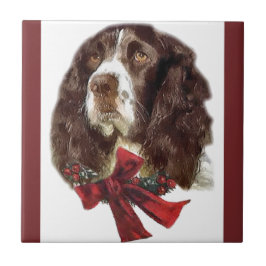 English Springer Spanier Weihnachten Fliese