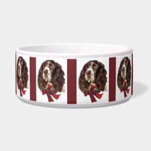 English Springer Spanier Weihnachten Napf